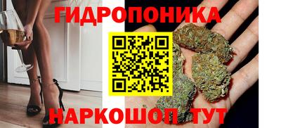 молекула духа Пугачёв